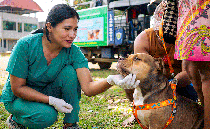 Vecinos participando con sus mascotas